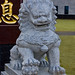 Rui Shi Photo 31