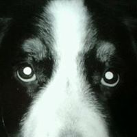 Stephen Thacker Photo 1