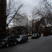 Cecil Rose Photo 26
