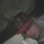 Caleb Lowery Photo 16