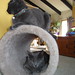 Mimi Luna Photo 29
