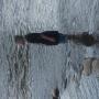 Anthony Lechuga Photo 9