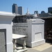 Charles Morphy Photo 10