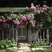 Karin Rose Photo 37