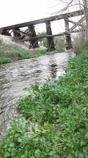 Nathan Kinne Photo 2