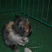 Ricky Rambo Photo 26
