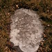 Lydia Montgomery Photo 34