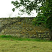 Tara Walls Photo 34