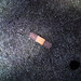 Kevin Boos Photo 17