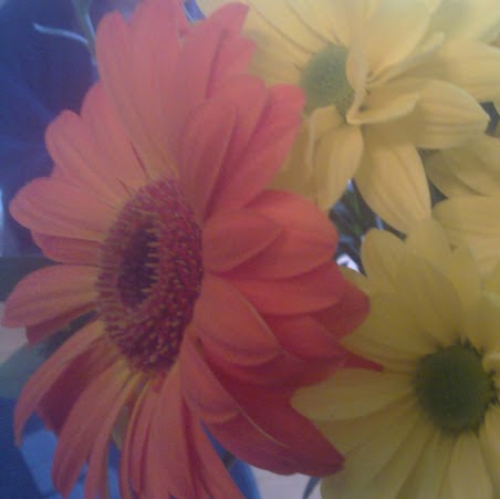 Stephanie Towers Photo 12