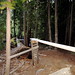 Kimberley Wood Photo 40