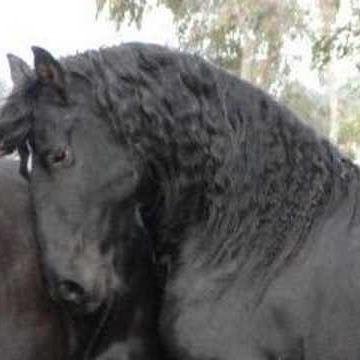 Sharon Halliday Photo 11