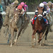 Tracy Whitney Photo 37