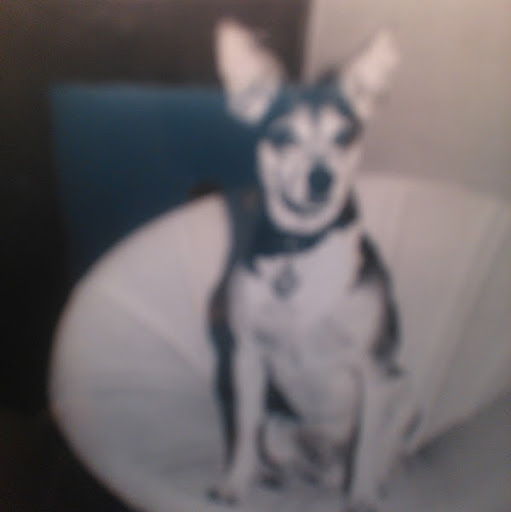 Mary Dunham Photo 13