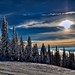 John Mcdevitt Photo 42