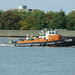 Richard Cummins Photo 42