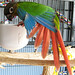 Gordon Green Photo 46