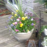 Kimberly Coats Photo 9