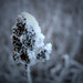 Bud Stewart Photo 29
