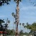 Dale Roley Photo 22
