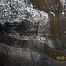 Todd Druhot Photo 13