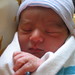 Nicolas Varela Photo 34