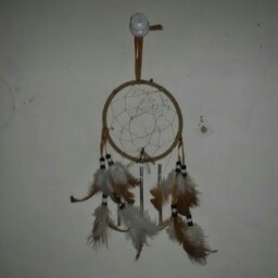 Charlton Johnson Photo 7