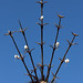 Eric Malinowski Photo 32