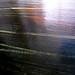 Shawn Dulaney Photo 22