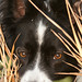 Molly Fields Photo 33