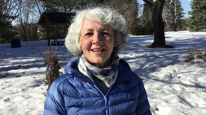 Diane Bissonnette Photo 20