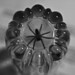Thomas Ragno Photo 10