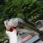 Timothy Trivett Photo 9