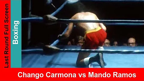 Amanda Carmona Photo 26