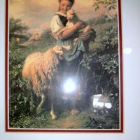 Jean Young Photo 8