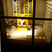 Stephen Humphreys Photo 39