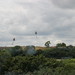 Jason Krause Photo 32