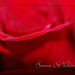 Rose Valentin Photo 34