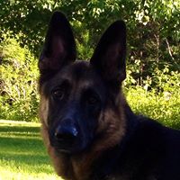 Colleen Justice Photo 4