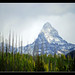 Nicholas Parks Photo 38