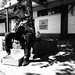 George Farmer Photo 41