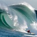 Anthony Gerhardt Photo 17