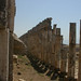 Michael Pleines Photo 16