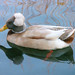 Larry Merritt Photo 34