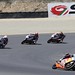 Jake Stevens Photo 44