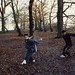 Chin Fu Photo 22