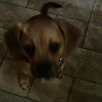 Donna Kessler Photo 7
