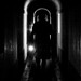 John Canevari Photo 17