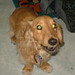 Ralph Power Photo 25