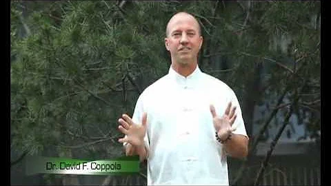 David Coppola Photo 29